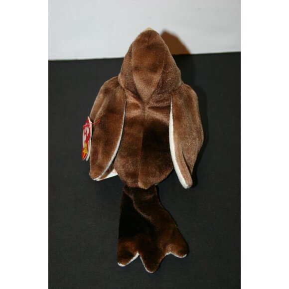 TY Beanie Baby Early Robin Bird 1998 errors rare 4190 brown red - Picture 3 of 10